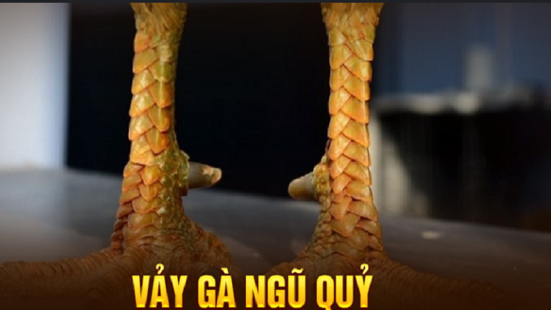 Có nhiều loại vảy gà đá khác nhau